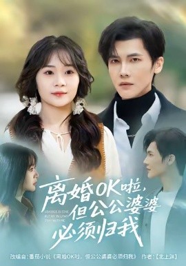 离婚ok啦，但公婆必须归我(全集)