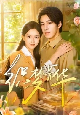 织梦芳华(全集)